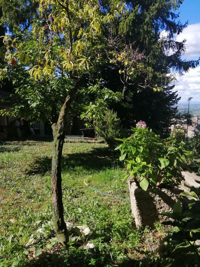 Orto Di Emma Apartment San Gimignano Bagian luar foto